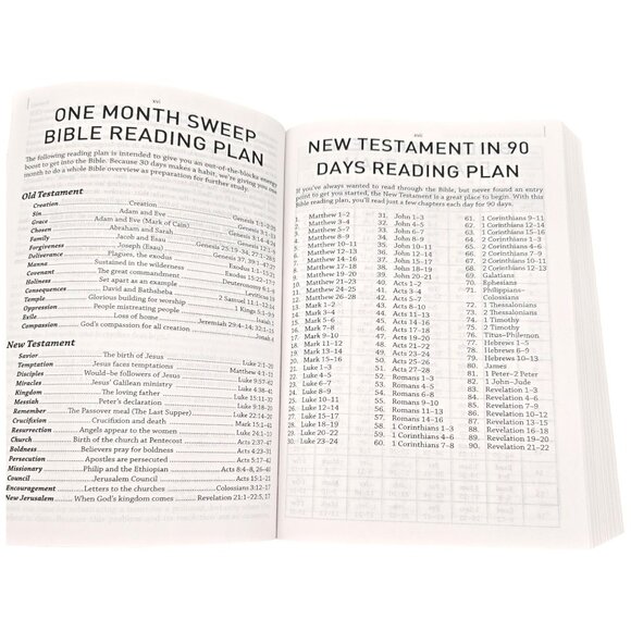 The Daily Life Bible LARGE PRINT EDITION Easy To Read Common English Bible - Picture 8 of 16